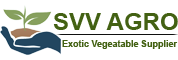 SVV AGRO